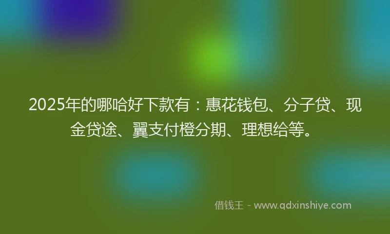 2025年的哪哈好下款有：惠花钱包、分子贷、现金贷途、翼支付橙分期、理想给等。
