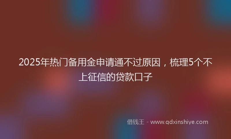 2025年热门备用金申请通不过原因，梳理5个不上征信的贷款口子