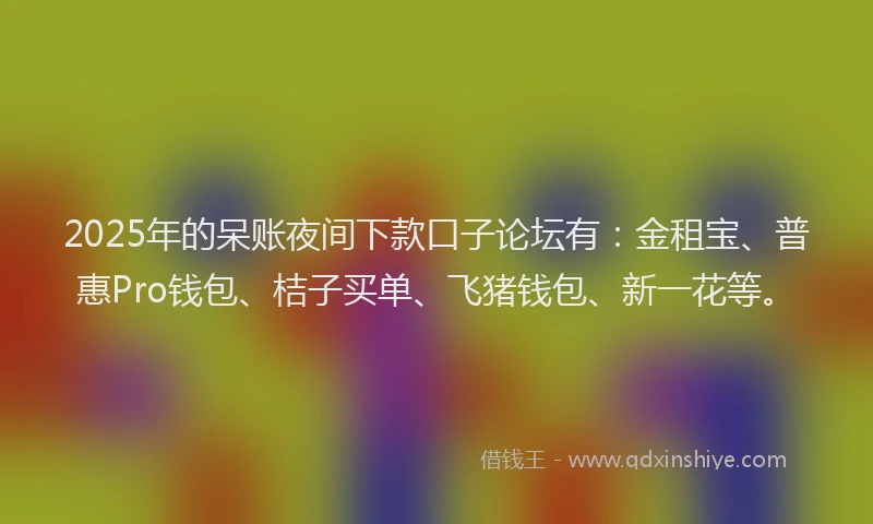 2025年的呆账夜间下款口子论坛有：金租宝、普惠Pro钱包、桔子买单、飞猪钱包、新一花等。
