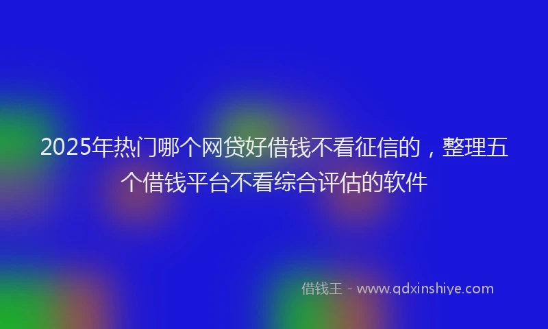 2025年热门哪个网贷好借钱不看征信的，整理五个借钱平台不看综合评估的软件