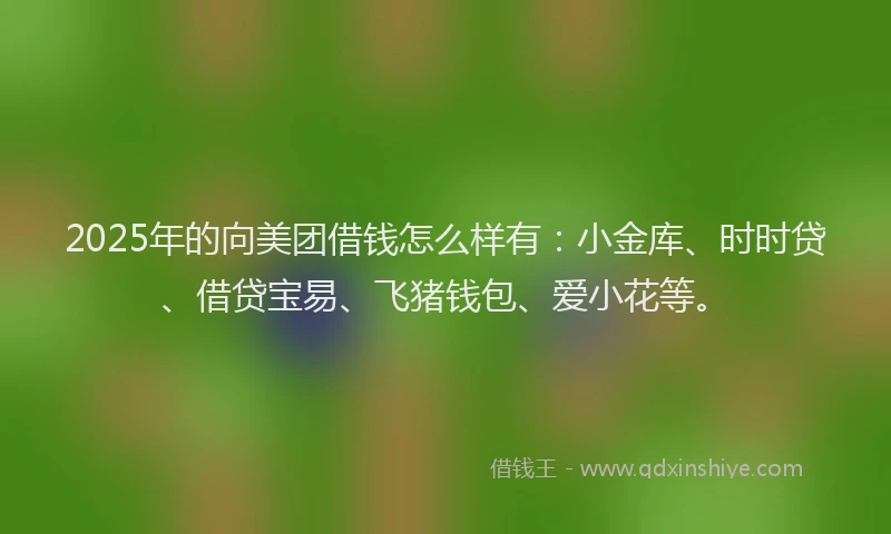 2025年的向美团借钱怎么样有：小金库、时时贷、借贷宝易、飞猪钱包、爱小花等。