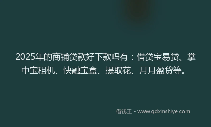2025年的商铺贷款好下款吗有：借贷宝易贷、掌中宝租机、快融宝盒、提取花、月月盈贷等。