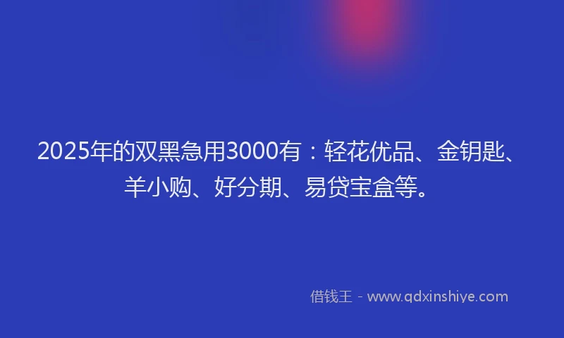 2025年的双黑急用3000有：轻花优品、金钥匙、羊小购、好分期、易贷宝盒等。