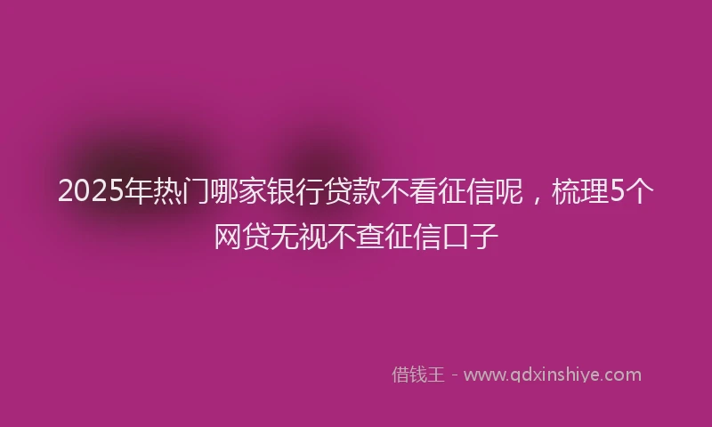2025年热门哪家银行贷款不看征信呢，梳理5个网贷无视不查征信口子