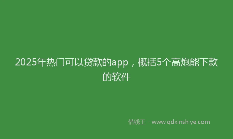 2025年热门可以贷款的app，概括5个高炮能下款的软件