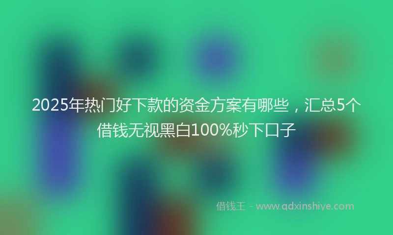 2025年热门好下款的资金方案有哪些，汇总5个借钱无视黑白100%秒下口子