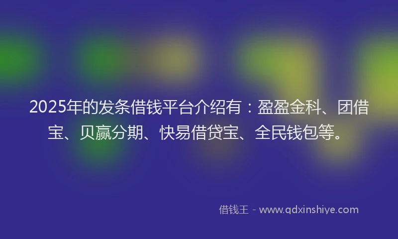 2025年的发条借钱平台介绍有：盈盈金科、团借宝、贝赢分期、快易借贷宝、全民钱包等。