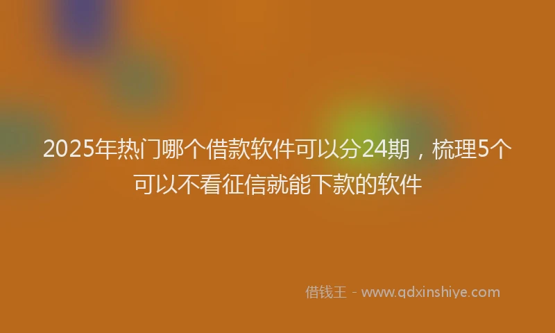 2025年热门哪个借款软件可以分24期，梳理5个可以不看征信就能下款的软件