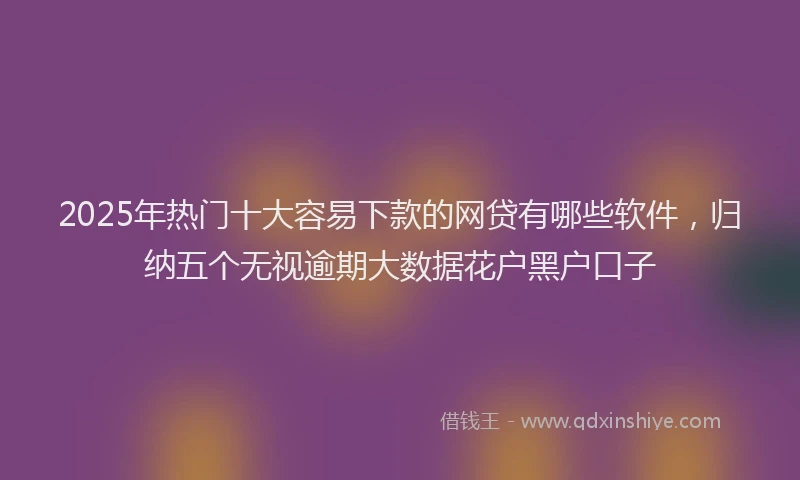 2025年热门十大容易下款的网贷有哪些软件，归纳五个无视逾期大数据花户黑户口子