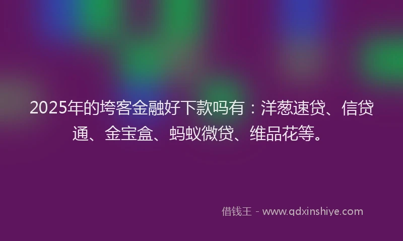 2025年的垮客金融好下款吗有：洋葱速贷、信贷通、金宝盒、蚂蚁微贷、维品花等。