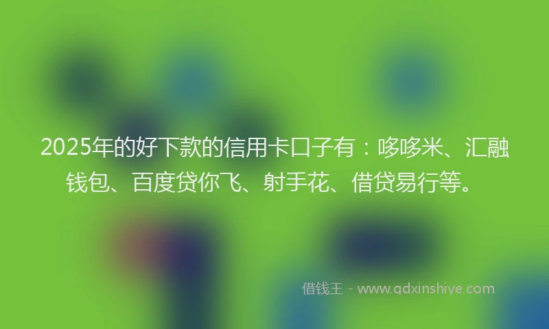 2025年的好下款的信用卡口子有：哆哆米、汇融钱包、百度贷你飞、射手花、借贷易行等。