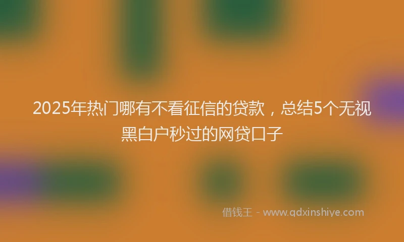2025年热门哪有不看征信的贷款，总结5个无视黑白户秒过的网贷口子