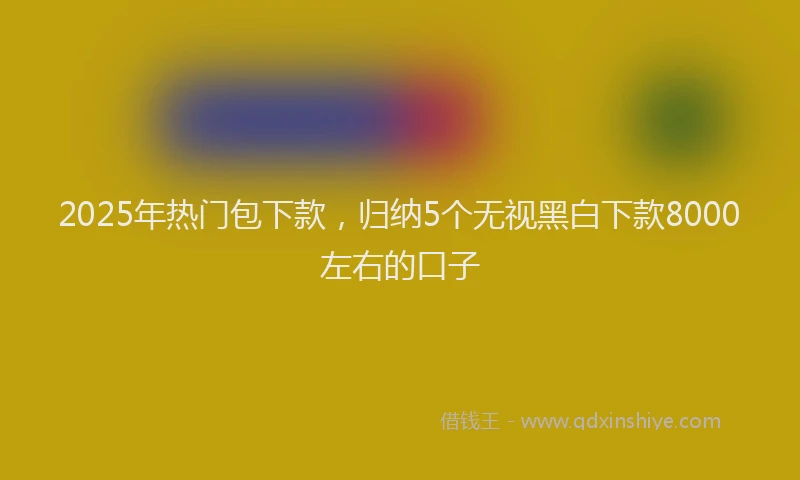 2025年热门包下款，归纳5个无视黑白下款8000左右的口子