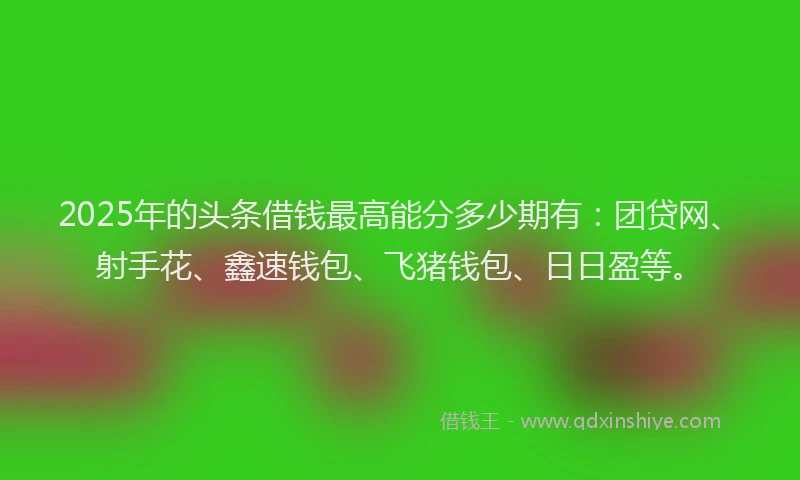 2025年的头条借钱最高能分多少期有：团贷网、射手花、鑫速钱包、飞猪钱包、日日盈等。