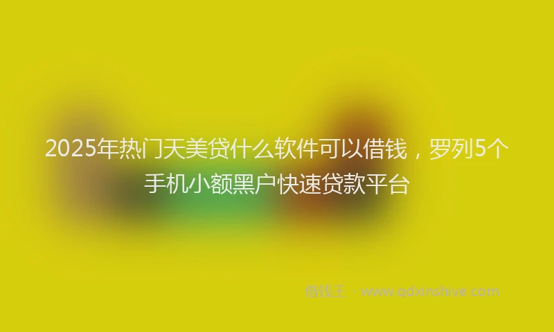 2025年热门天美贷什么软件可以借钱，罗列5个手机小额黑户快速贷款平台