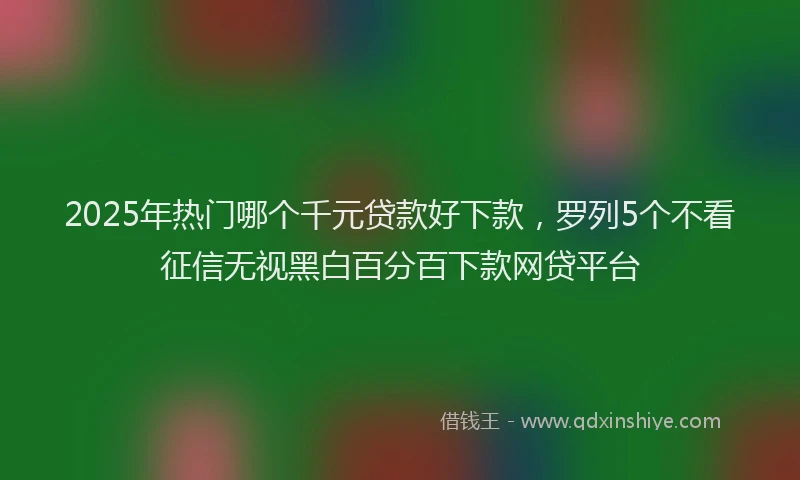 2025年热门哪个千元贷款好下款，罗列5个不看征信无视黑白百分百下款网贷平台