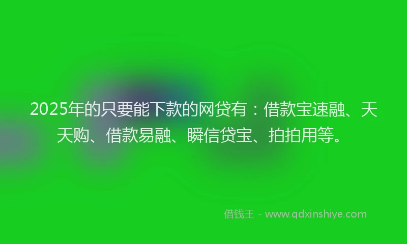 2025年的只要能下款的网贷有：借款宝速融、天天购、借款易融、瞬信贷宝、拍拍用等。