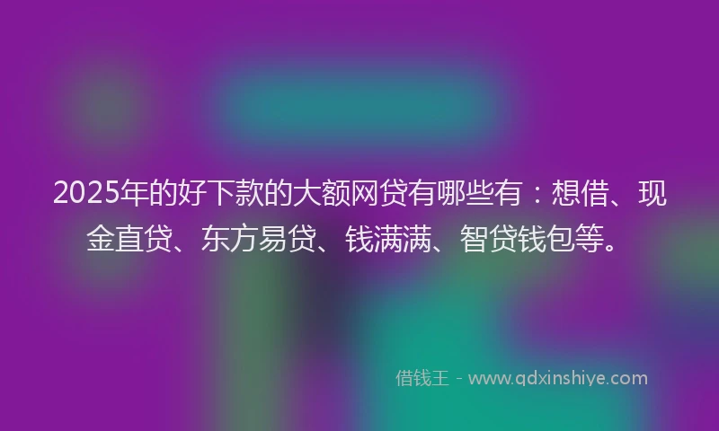 2025年的好下款的大额网贷有哪些有：想借、现金直贷、东方易贷、钱满满、智贷钱包等。
