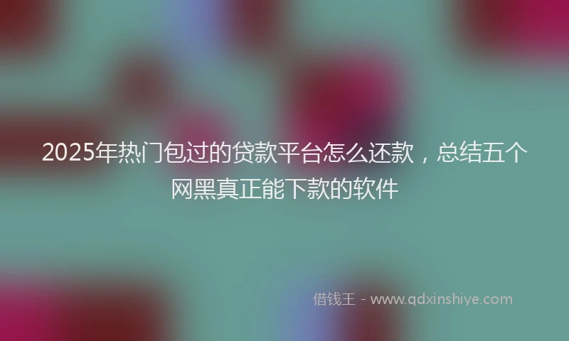 2025年热门包过的贷款平台怎么还款，总结五个网黑真正能下款的软件