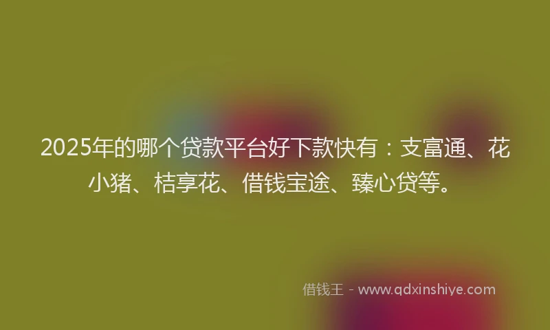 2025年的哪个贷款平台好下款快有：支富通、花小猪、桔享花、借钱宝途、臻心贷等。