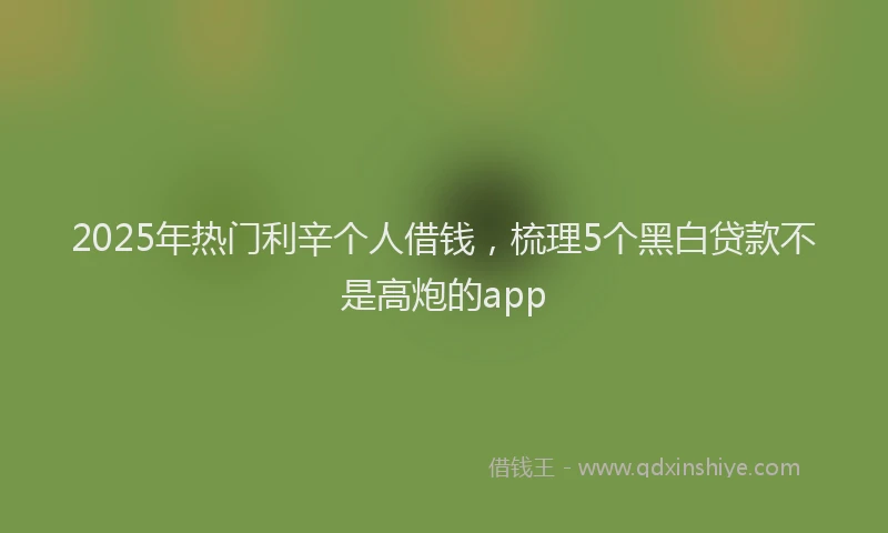 2025年热门利辛个人借钱，梳理5个黑白贷款不是高炮的app
