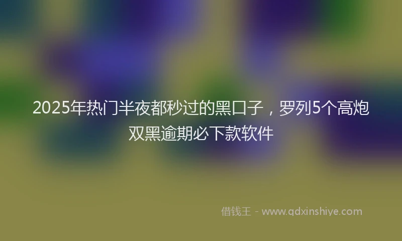 2025年热门半夜都秒过的黑口子，罗列5个高炮双黑逾期必下款软件