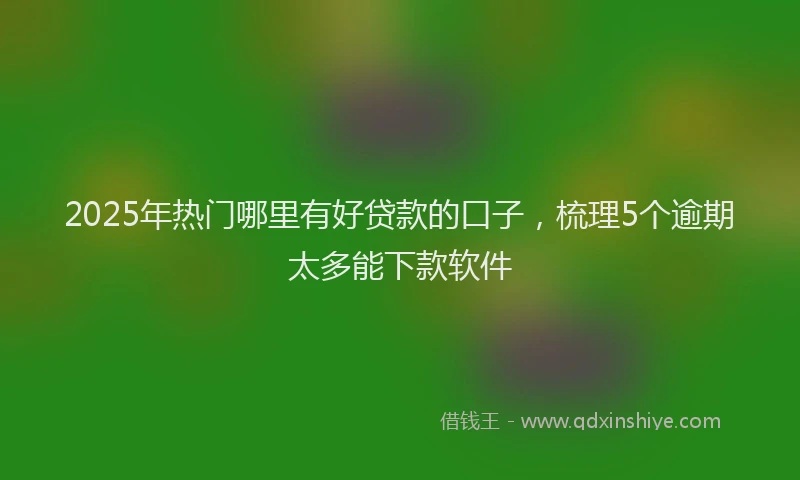 2025年热门哪里有好贷款的口子，梳理5个逾期太多能下款软件