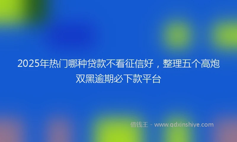 2025年热门哪种贷款不看征信好，整理五个高炮双黑逾期必下款平台