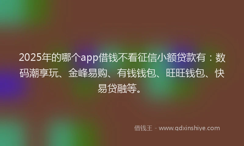 2025年的哪个app借钱不看征信小额贷款有：数码潮享玩、金峰易购、有钱钱包、旺旺钱包、快易贷融等。