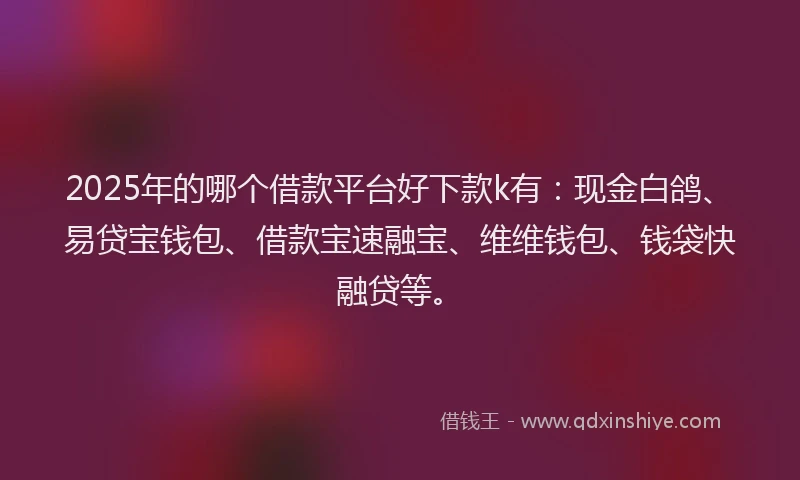 2025年的哪个借款平台好下款k有：现金白鸽、易贷宝钱包、借款宝速融宝、维维钱包、钱袋快融贷等。