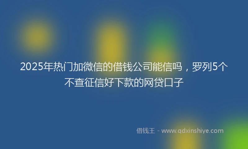 2025年热门加微信的借钱公司能信吗，罗列5个不查征信好下款的网贷口子