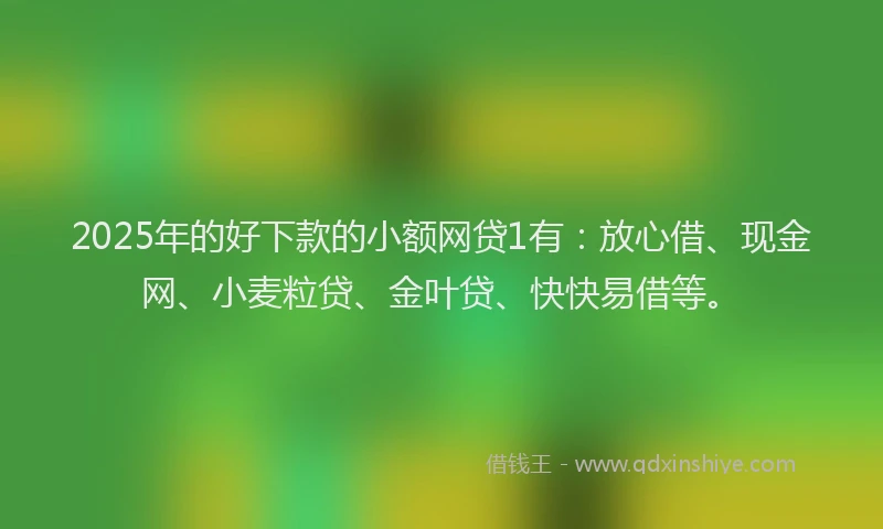 2025年的好下款的小额网贷1有：放心借、现金网、小麦粒贷、金叶贷、快快易借等。