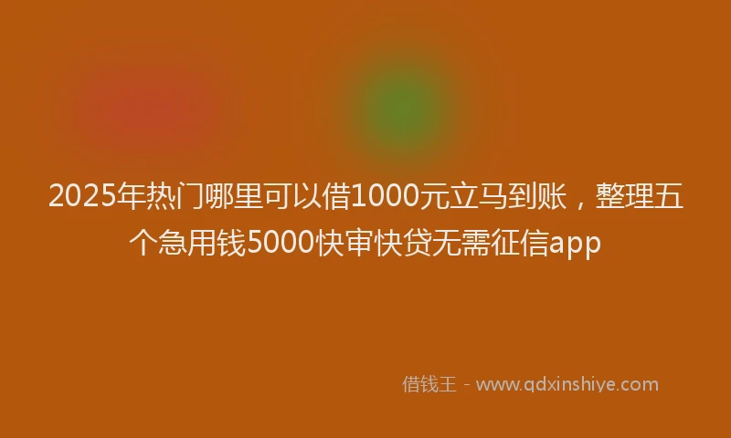 2025年热门哪里可以借1000元立马到账，整理五个急用钱5000快审快贷无需征信app