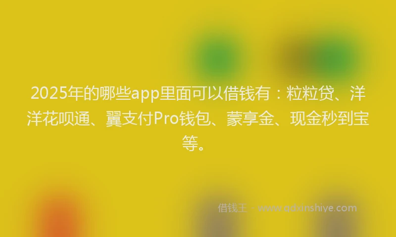 2025年的哪些app里面可以借钱有：粒粒贷、洋洋花呗通、翼支付Pro钱包、蒙享金、现金秒到宝等。