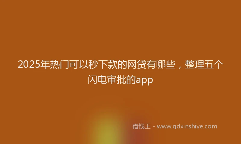 2025年热门可以秒下款的网贷有哪些，整理五个闪电审批的app