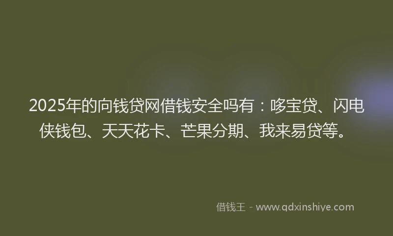 2025年的向钱贷网借钱安全吗有：哆宝贷、闪电侠钱包、天天花卡、芒果分期、我来易贷等。