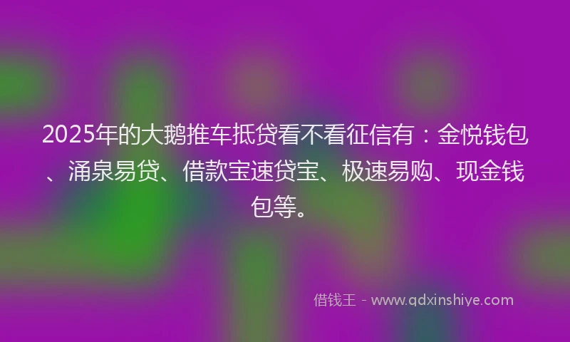 2025年的大鹅推车抵贷看不看征信有：金悦钱包、涌泉易贷、借款宝速贷宝、极速易购、现金钱包等。