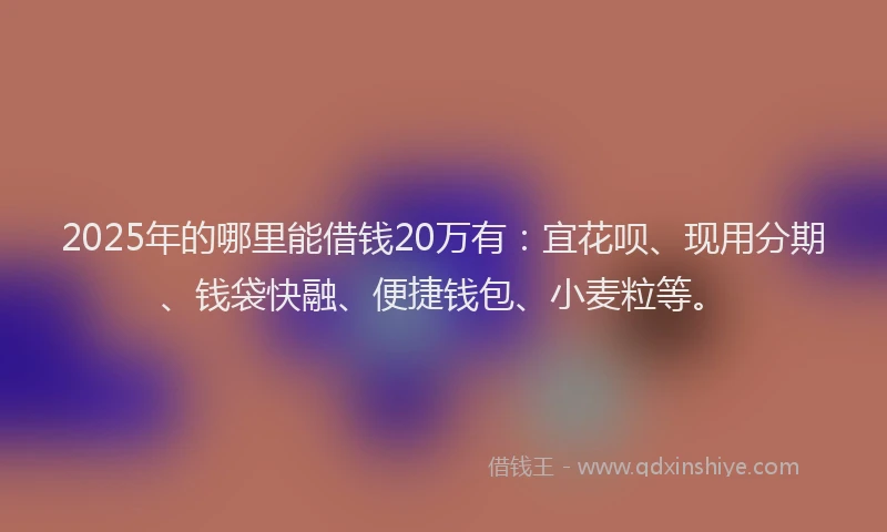 2025年的哪里能借钱20万有：宜花呗、现用分期、钱袋快融、便捷钱包、小麦粒等。