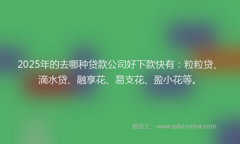 2025年的去哪种贷款公司好下款快有：粒粒贷、滴水贷、融享花、易支花、盈小花等。