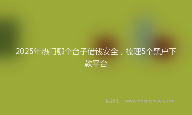 2025年热门哪个台子借钱安全，梳理5个黑户下款平台