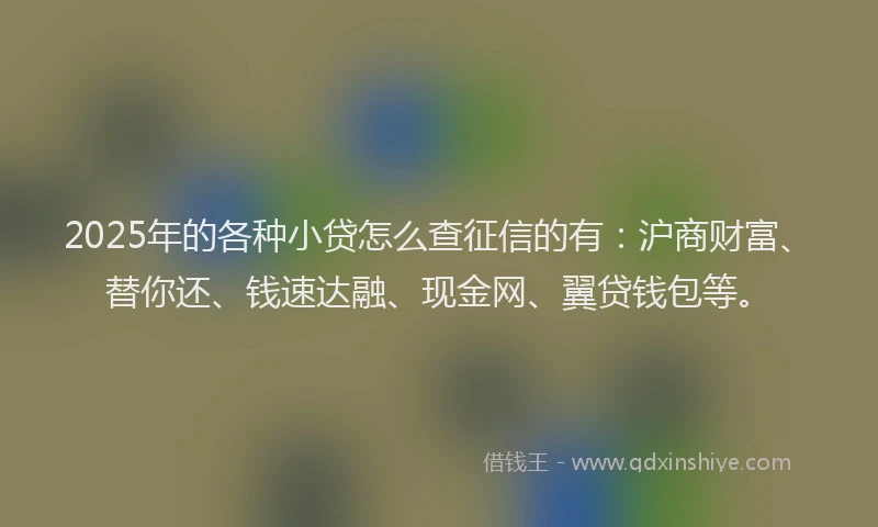 2025年的各种小贷怎么查征信的有：沪商财富、替你还、钱速达融、现金网、翼贷钱包等。