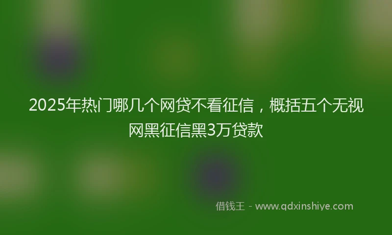 2025年热门哪几个网贷不看征信，概括五个无视网黑征信黑3万贷款