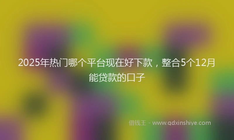 2025年热门哪个平台现在好下款，整合5个12月能贷款的口子
