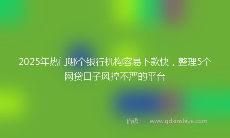 2025年热门哪个银行机构容易下款快，整理5个网贷口子风控不严的平台