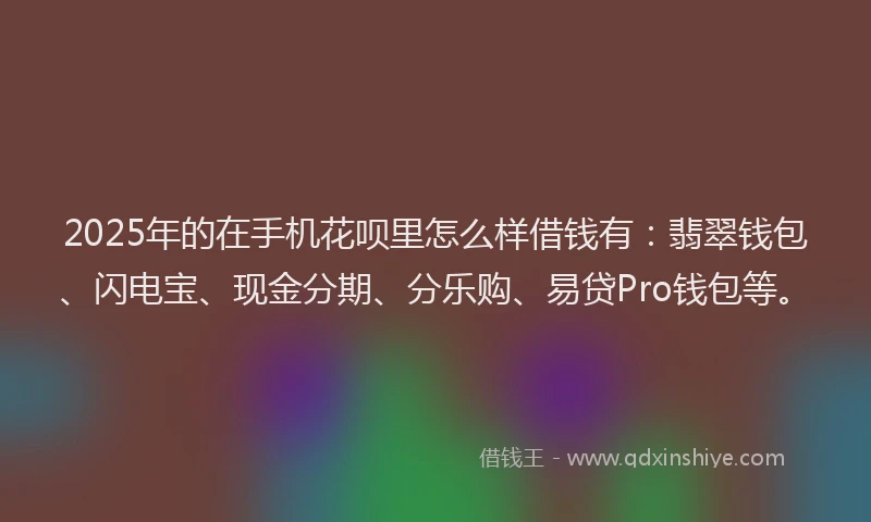 2025年的在手机花呗里怎么样借钱有：翡翠钱包、闪电宝、现金分期、分乐购、易贷Pro钱包等。