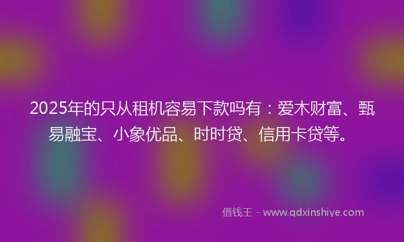 2025年的只从租机容易下款吗有：爱木财富、甄易融宝、小象优品、时时贷、信用卡贷等。