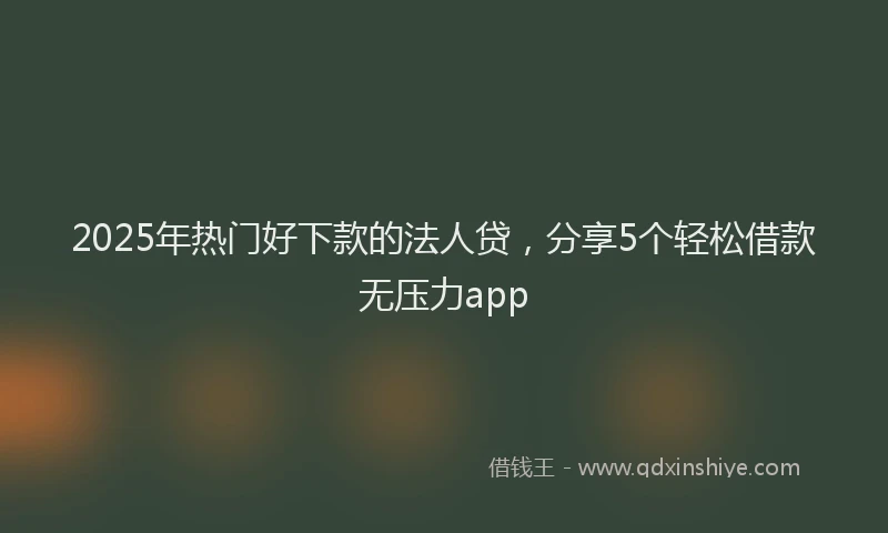 2025年热门好下款的法人贷，分享5个轻松借款无压力app