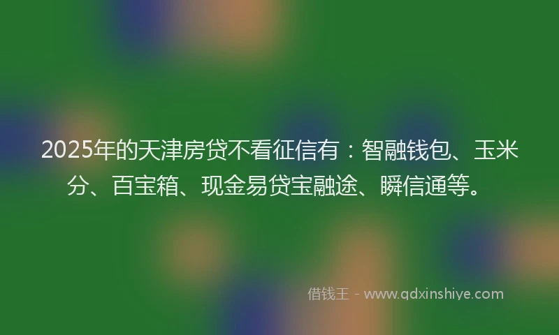 2025年的天津房贷不看征信有：智融钱包、玉米分、百宝箱、现金易贷宝融途、瞬信通等。