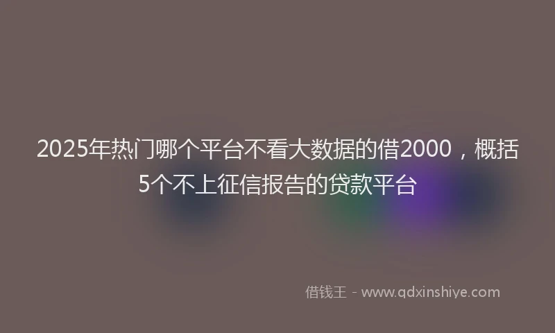 2025年热门哪个平台不看大数据的借2000，概括5个不上征信报告的贷款平台