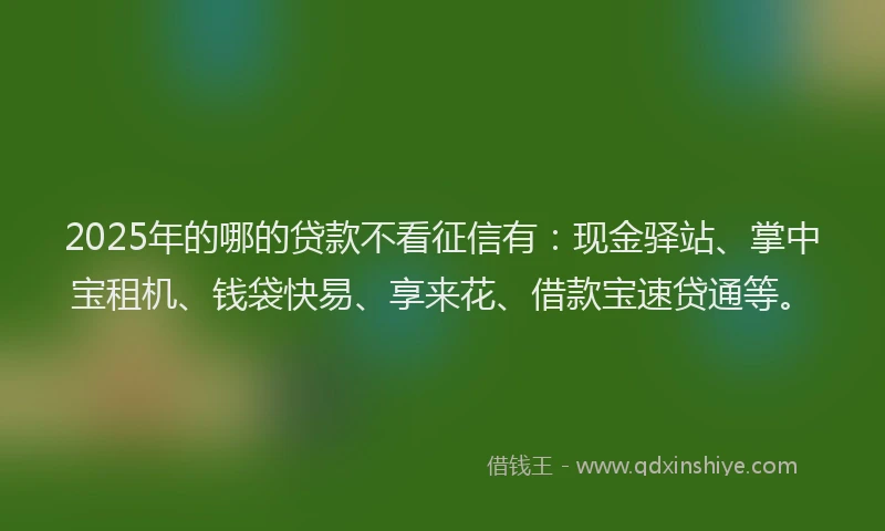 2025年的哪的贷款不看征信有：现金驿站、掌中宝租机、钱袋快易、享来花、借款宝速贷通等。